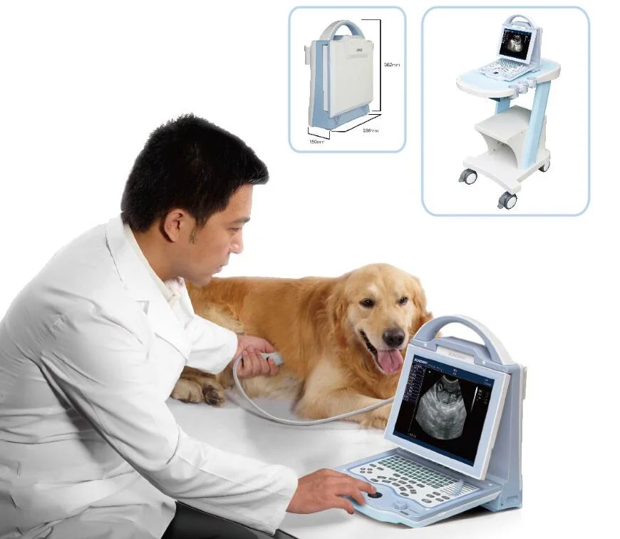 Doppler-Ultraschallsystem für Veterinärmedizin mit hintergrundbeleuchtetem LED-Display