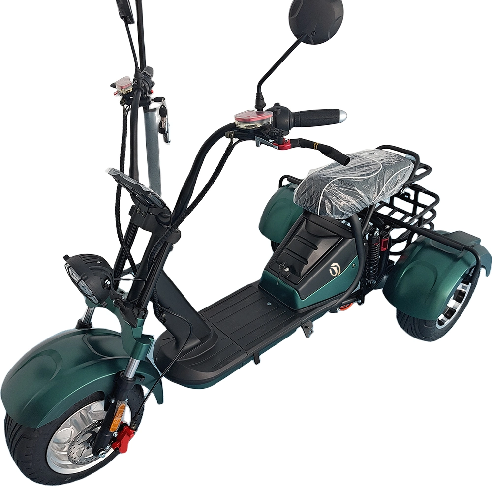 Scooters elétricas de 1500 W, com desempenho potente, 3 rodas, e orçamento acessível