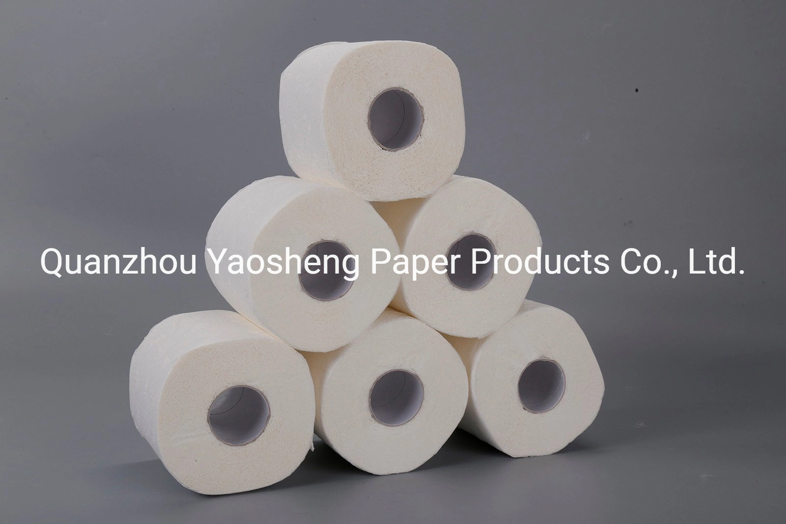 Hot Sale Customized Logo Manufacture Price Economic Packing 2/3ply Toilet Paper Roll Bathroom Tissue for Household/Hotel/Restaurant Bathroom