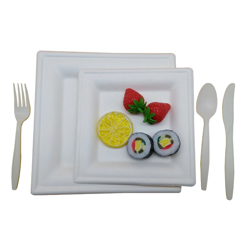 Compostable Food Container Tableware Biodegradable Sugarcane Paper Dinner Plate Sets