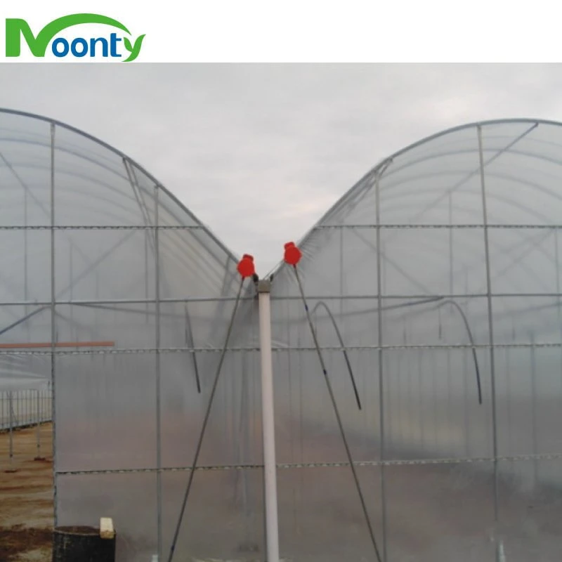 Best Greenhouse Covered with Polythylene Film for Agricultual/ Commercial Growing