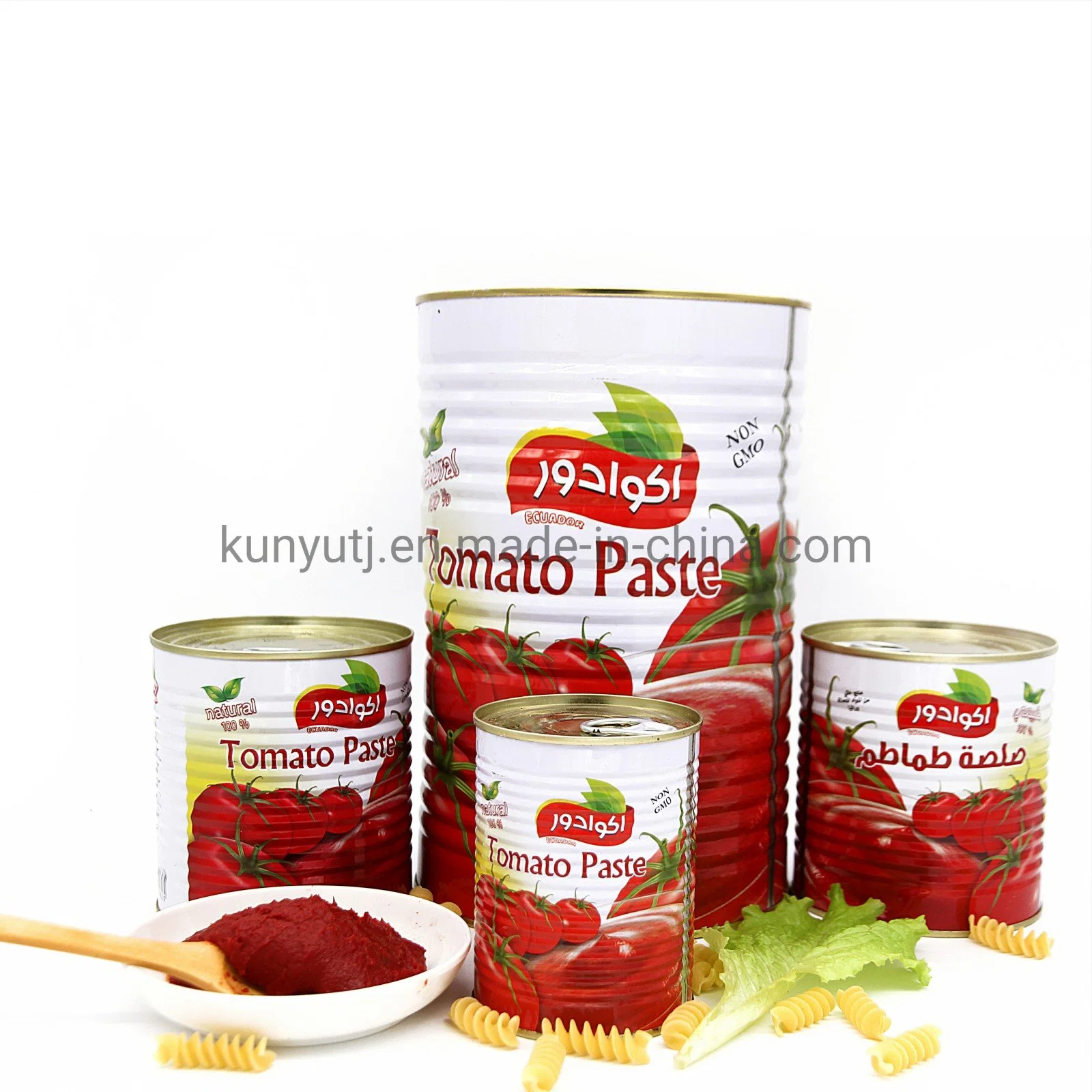 Customized OEM Brand Tomato Sauce Canned Tomato Paste with High quality/High cost performance 