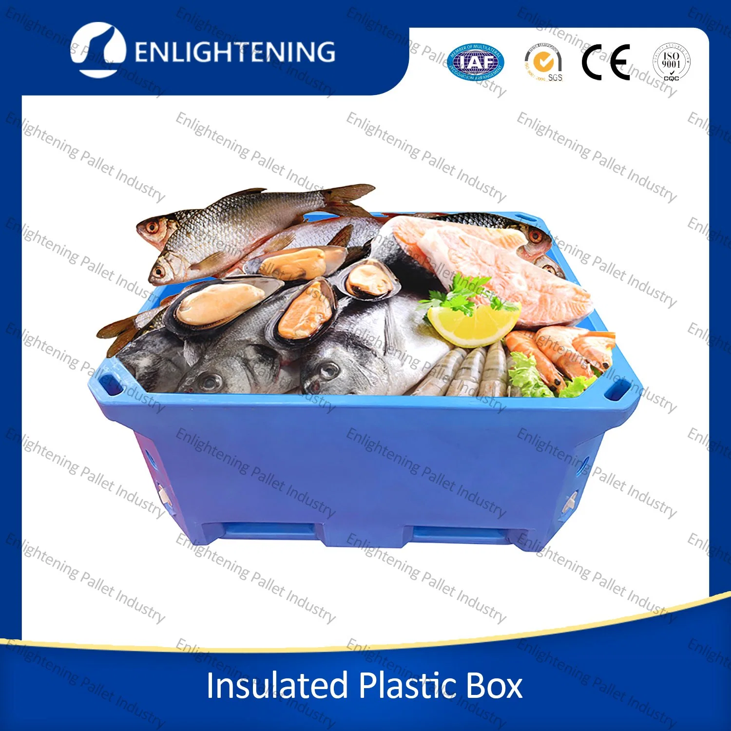 300L/660L/1000L Rotomolded Double Wall LLDPE Insulated Fish Boxes for Fishing and Fishery