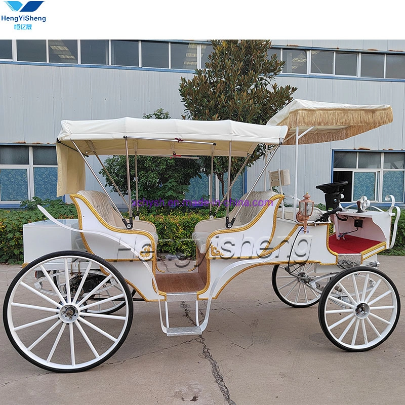 Special Transportation for Sightseeing Horse Carriage for Sale