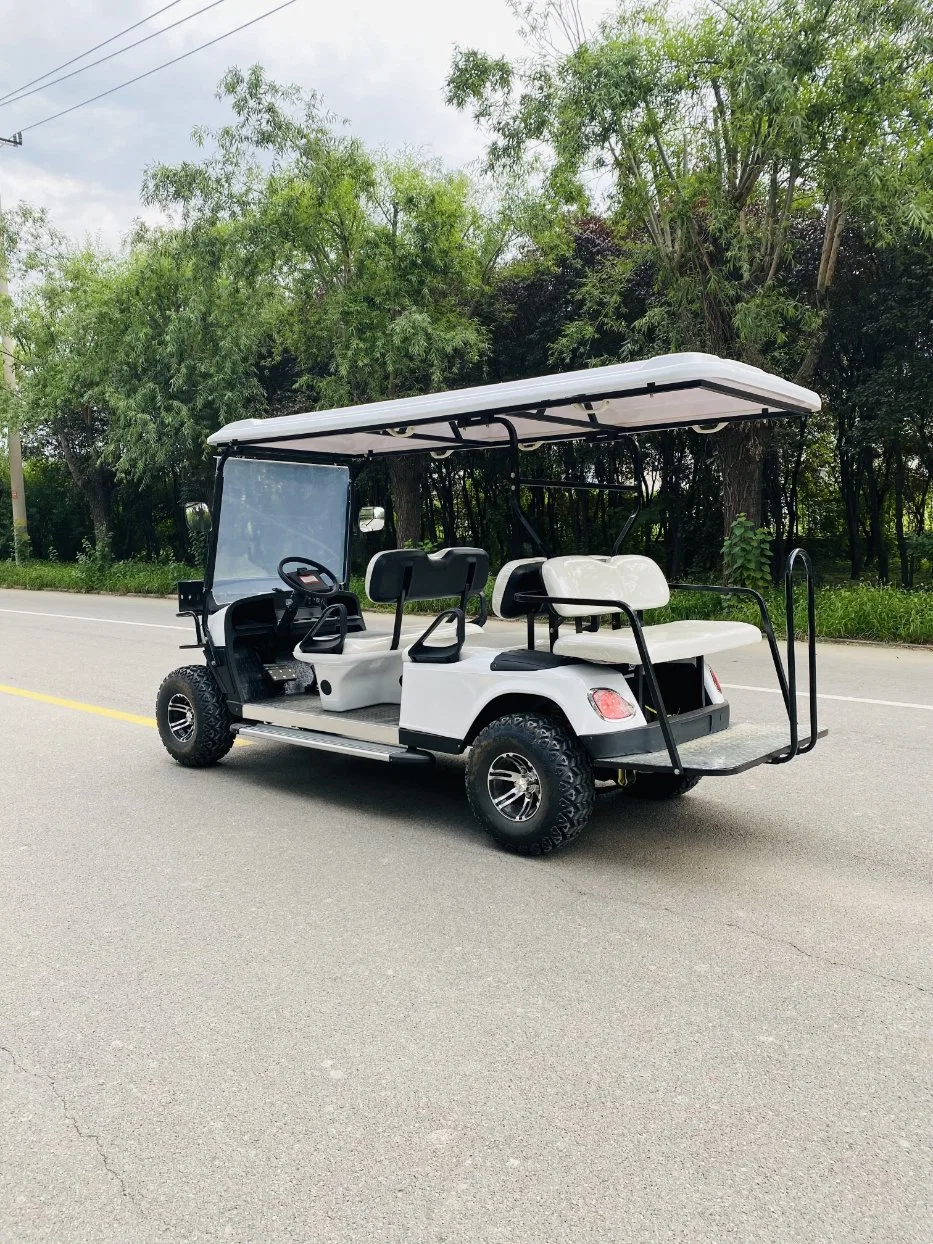 48V 60V Electric Vehicle with Roof Golf Cart with Competitive Price with Flip Down Rear Seat