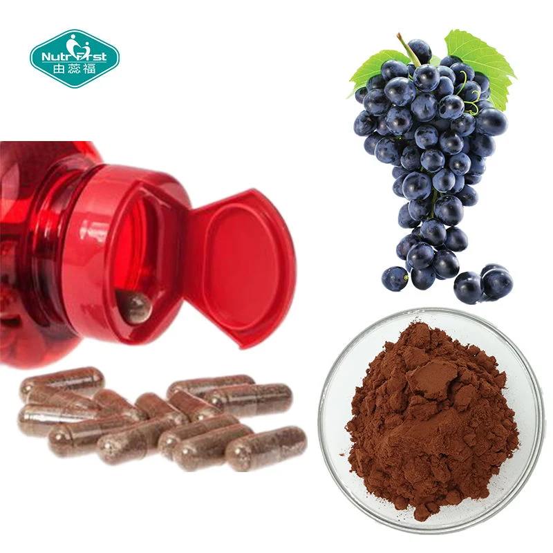 Antioxidant 95% OPC Anthocyanin Powder Organic Black Grapes Seed Extract