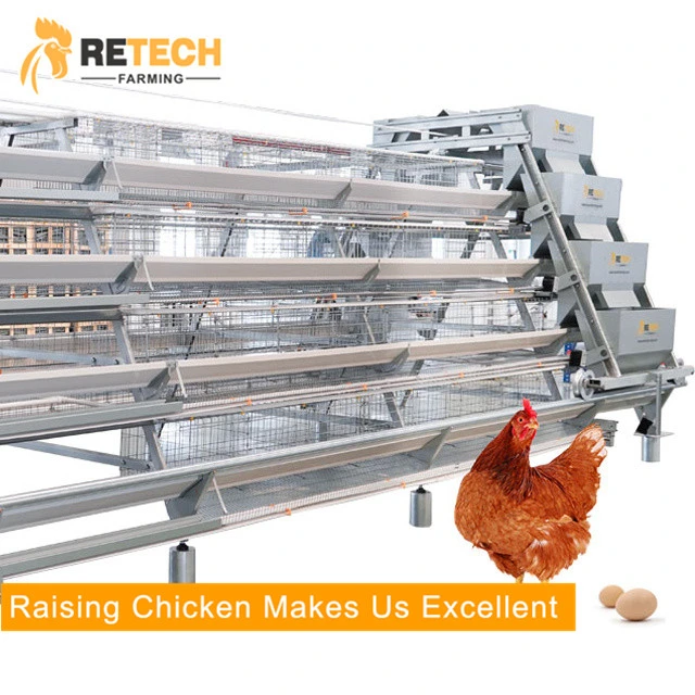 High quality/High cost performance  Automatic chicken layer battery cage Poultry Farm Equipment in Senegal