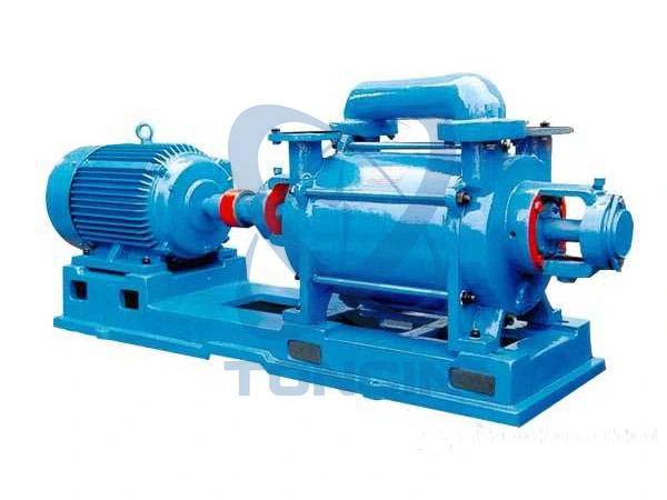 Large Capacity 2be Water Ring Vacuum Pump