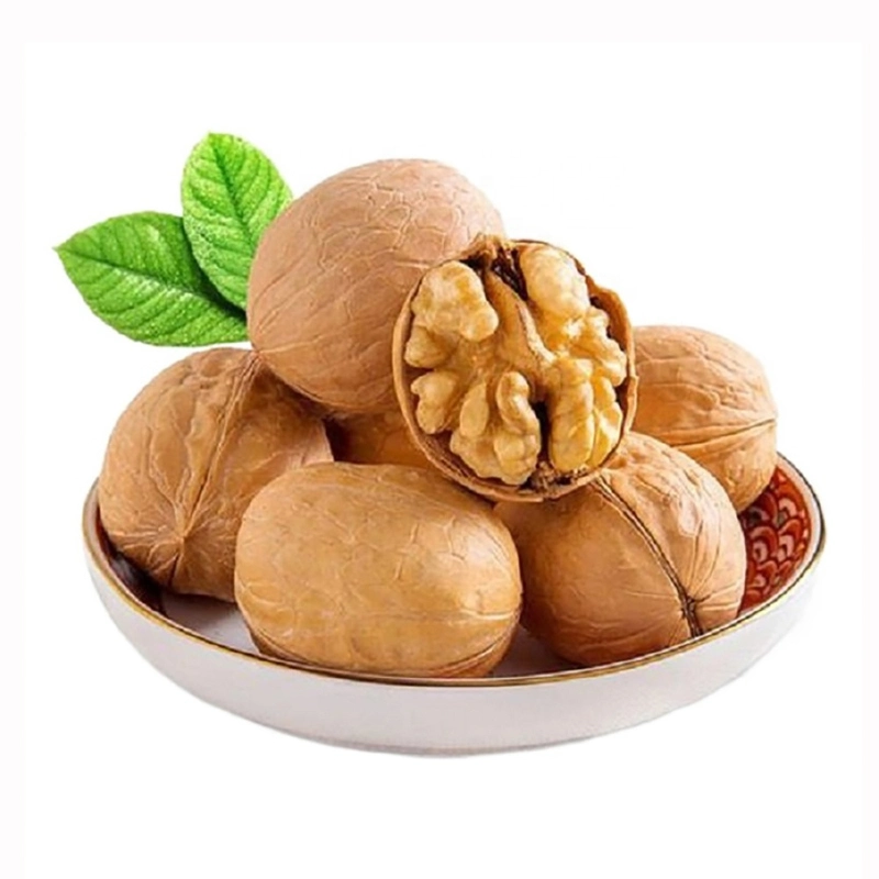 Chinese 185 Type in Shell Wholesale/Supplier Price Quarter Walnuts