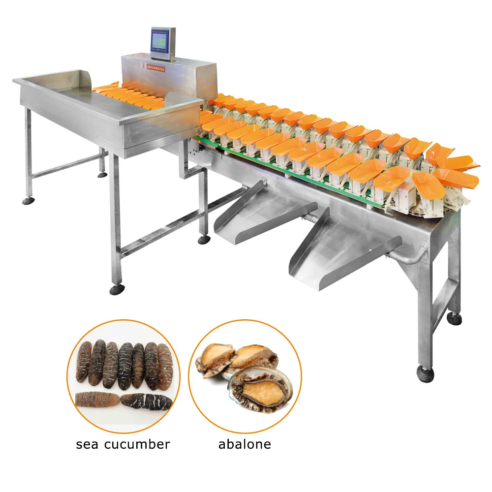 Tt-Jyh104p115-01-11 Automatic Sorting Machine Efficient Grading System for Efficient Grading Machine