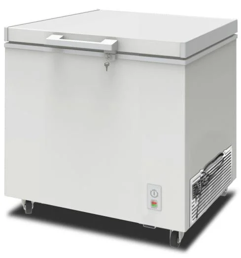 Factory Direct Price Sale Top Open Door 310 Liters Deep Freezer Depth for Hotel/Home/Supermarket Use