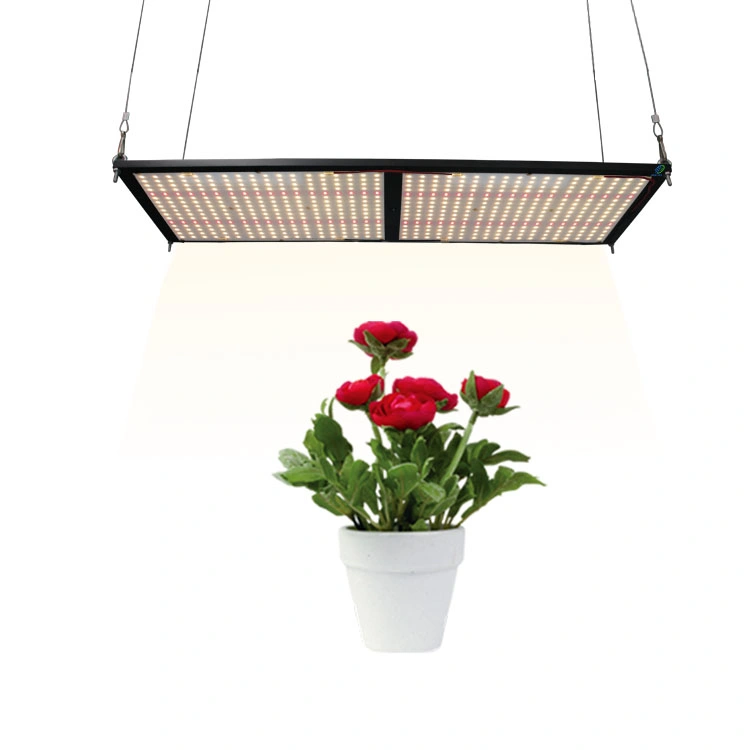 Full Spectrum 240W High Energy Efficiency LED Grow Light