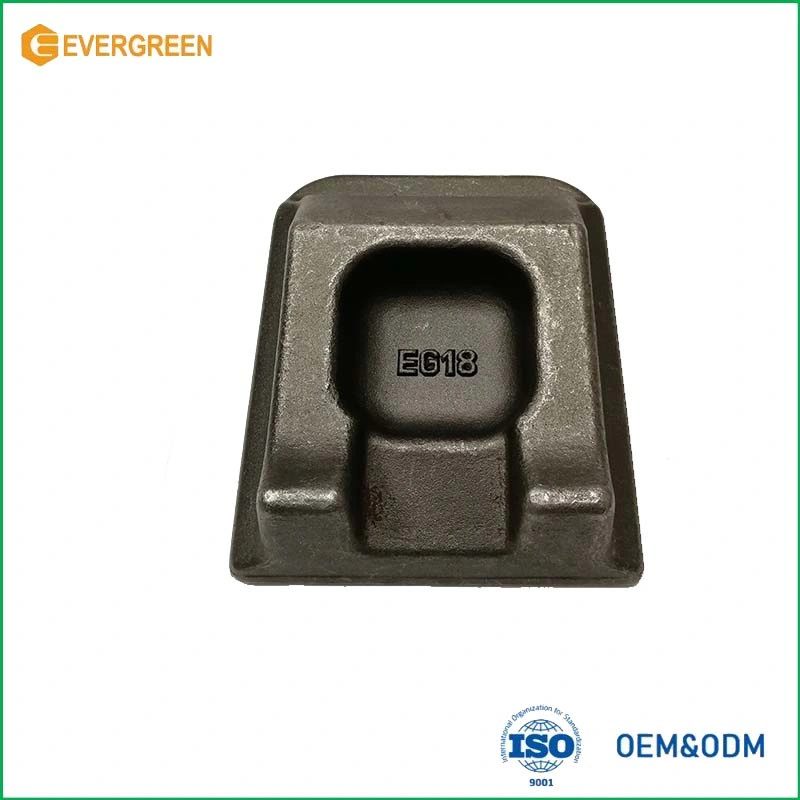 Magnesium/Aluminium/Zinc Alloy Die Forging/Casting Parts for Medical Equipment/Aircraft/Fitness Equipment