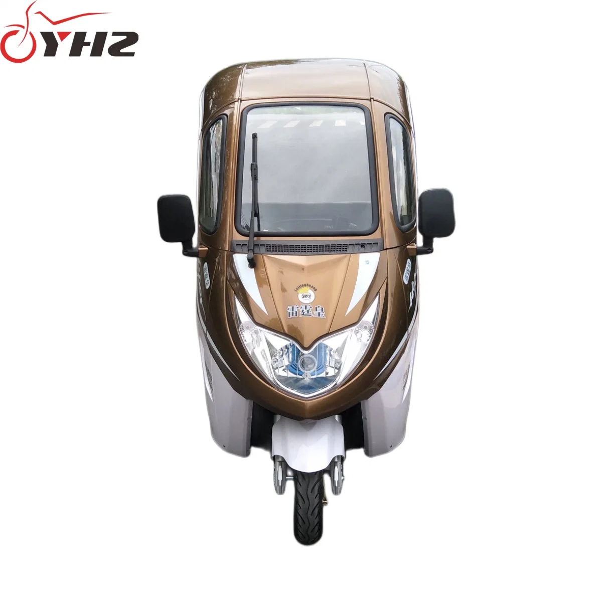 Voiture électrique adulte à trois roues ouverte avec moteur de 800W/1000W et scooter électrique avec boîte arrière.