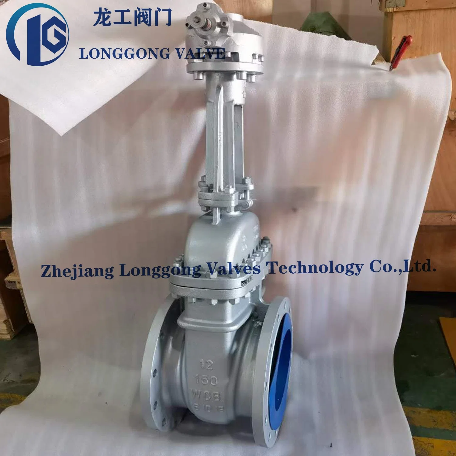 API600/ASME/API6d Wheel/Bevel Gear/Electric/Pneumatic 300lb/10K/Pn16 Stainless Steel/Carbon Steel/CF8m/Wcb Flange End OS&Y Wedge Industrial Gate Valves