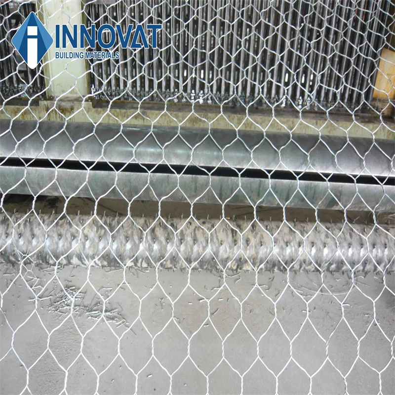 Hexagonal Wire Mesh /Galvanized Chicken Wire Mesh/Vinyl Chicken Mesh/