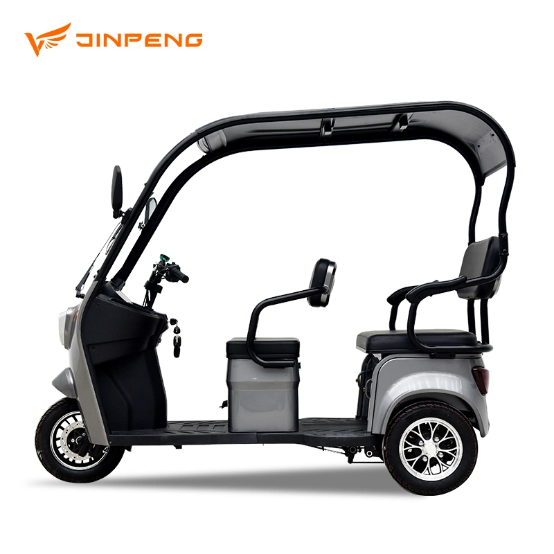 New Arrival Electric Tricycle with Roof Made in China