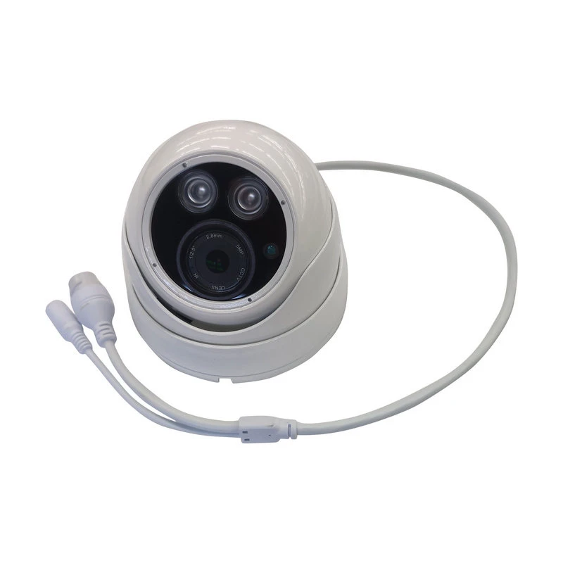 800TV Lines High Speed Dome Security Camera with CE FCC RoHS Certificates