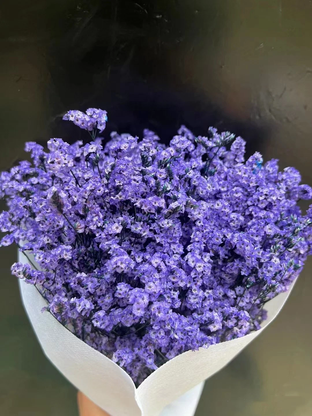 Wholesale Premium Fresh Limonium Flower for Wedding Flower