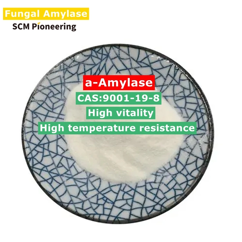 China Fabrik Großhandel/Lieferant Lebensmittel-Qualität Fungal Alpha Amylase / Alpha-Amylase Enzym