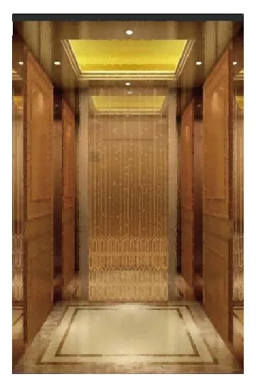 Professional Service Traction Series Home Elevator Lift for Sale