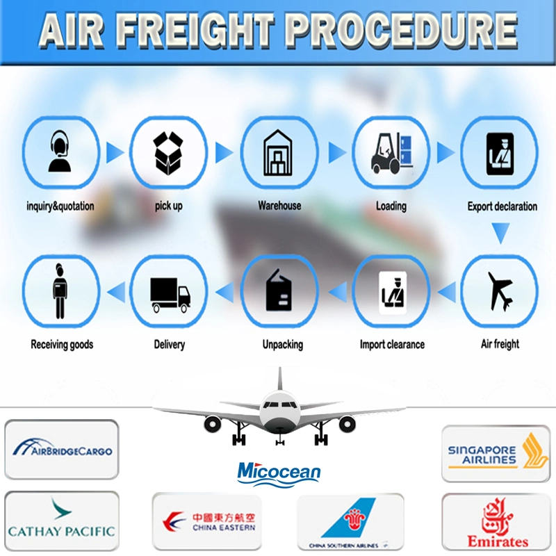 DDU/DDP Air Shipping Agency From Guangzhou/Shenzhen/Shanghai/Ningbo to Netherlands&Denmark Door to Door Service