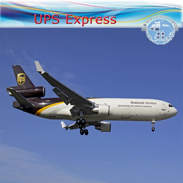 International Express desde China a Servicios de puerta a puerta de FedEx/UPS/DHL