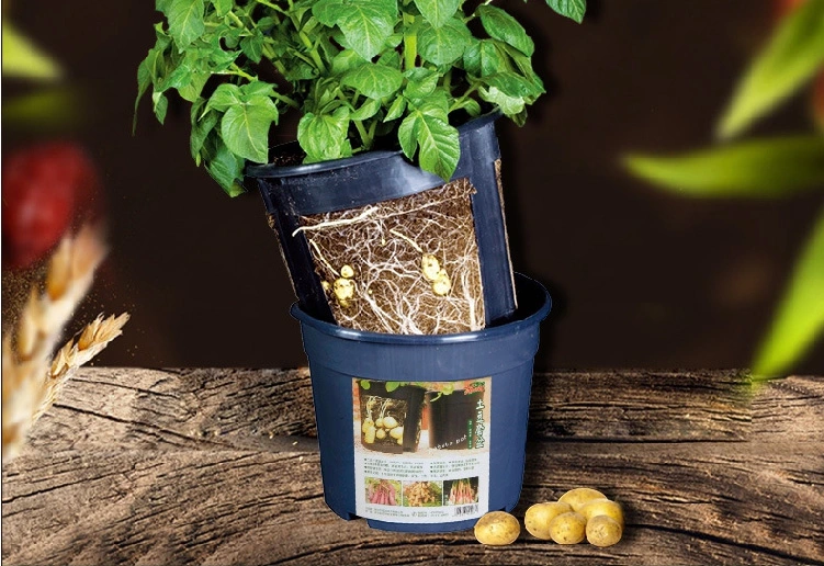 Round Bato Bucket for Potato Flower Black Agriculture Greenhouse Indoor Outdoor Garden Plastic Pot