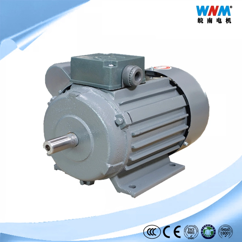 Motor eléctrico monofásico de yl AC 220V 230V valor doble de inducción de condensador 0.12~3.7kw Yc Yl Yy Ys compresor de aire del fabricante de máquina de ordeño portátiles