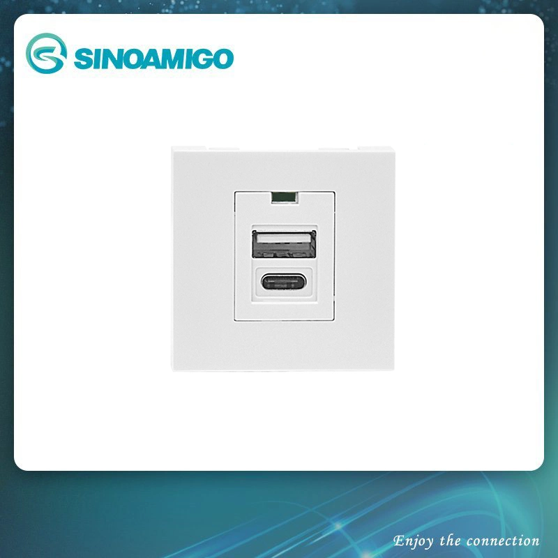 Type a+C USB Smart Wall Plug with PC Plate