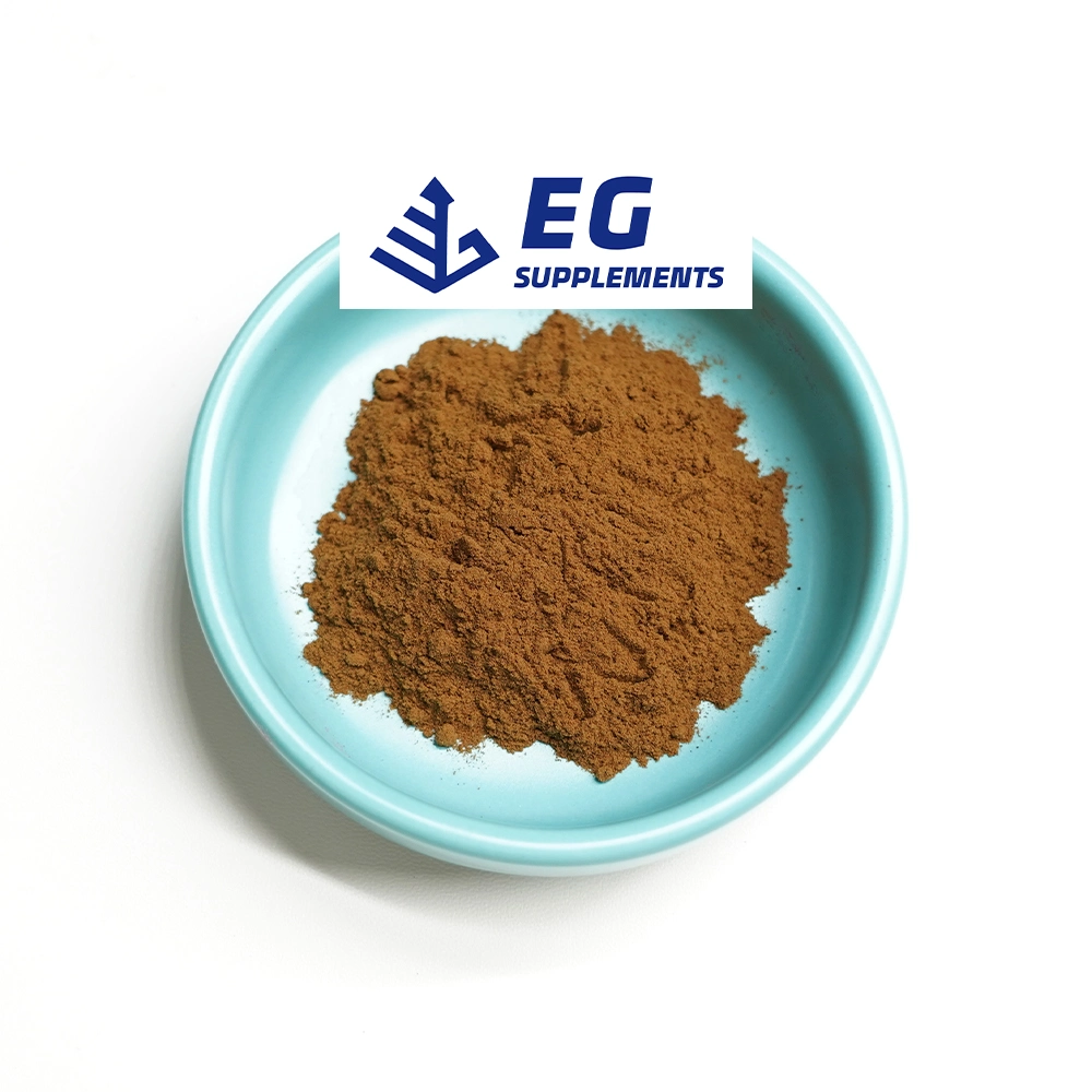 Natural Krachai Dam Extract Boesenbergia Rotunda Extract / Fingerroot Extract