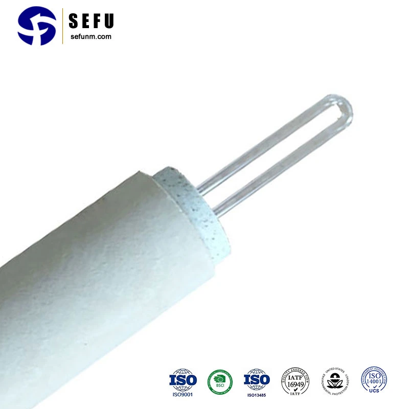 Sefu China Expendable Thermocouple Tip Manufacturing Fast Thermocouple Immersion Thermocouple Probes with Connection Head