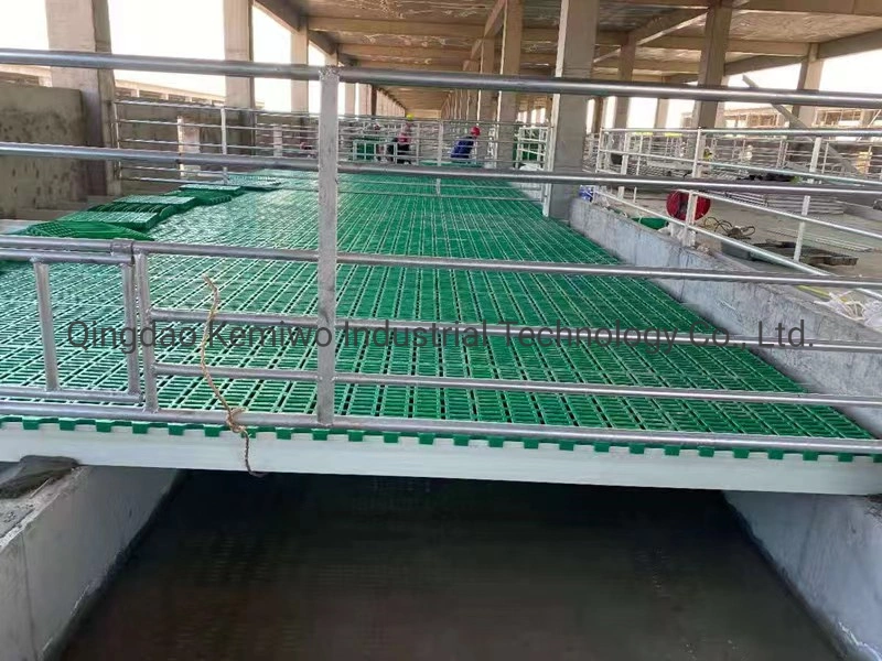 High quality/High cost performance PP Pure Raw Material Plastic Slatted Floor Goat Plastic Sheet