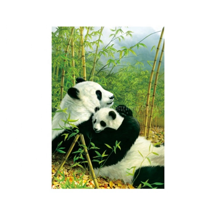 Póster colorido personalizado de impressão lenticular Animal Panda 3D