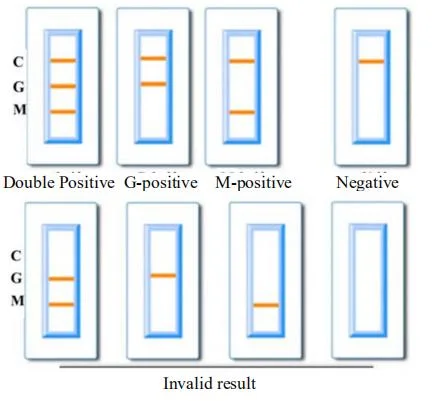 Igg/Igm Rapid Test Card Disposable Antigen Test Kit