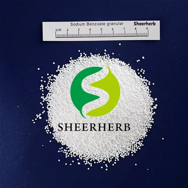 High Quality Wholesale Preservative Food Grade Natural Organic Plasticizer Sodium Benzoate Food Additive