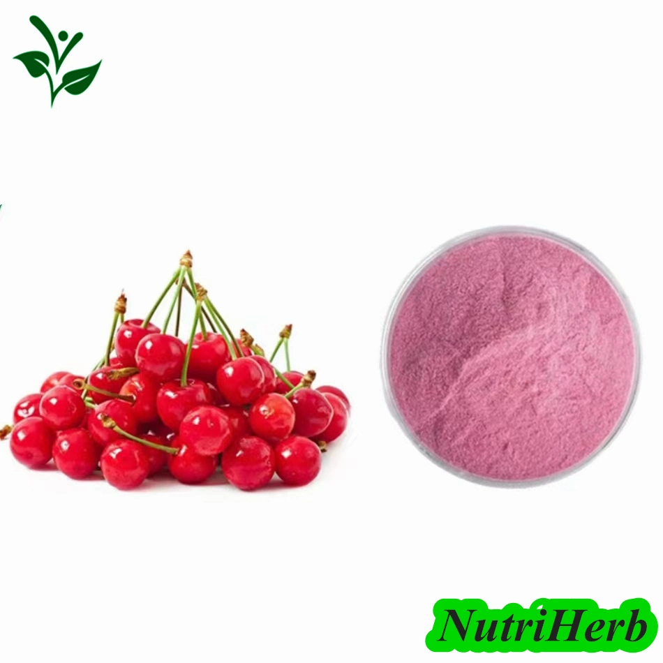 Polvo de fruta de Acerola soluble en agua orgánica polvo de cerola de cereza