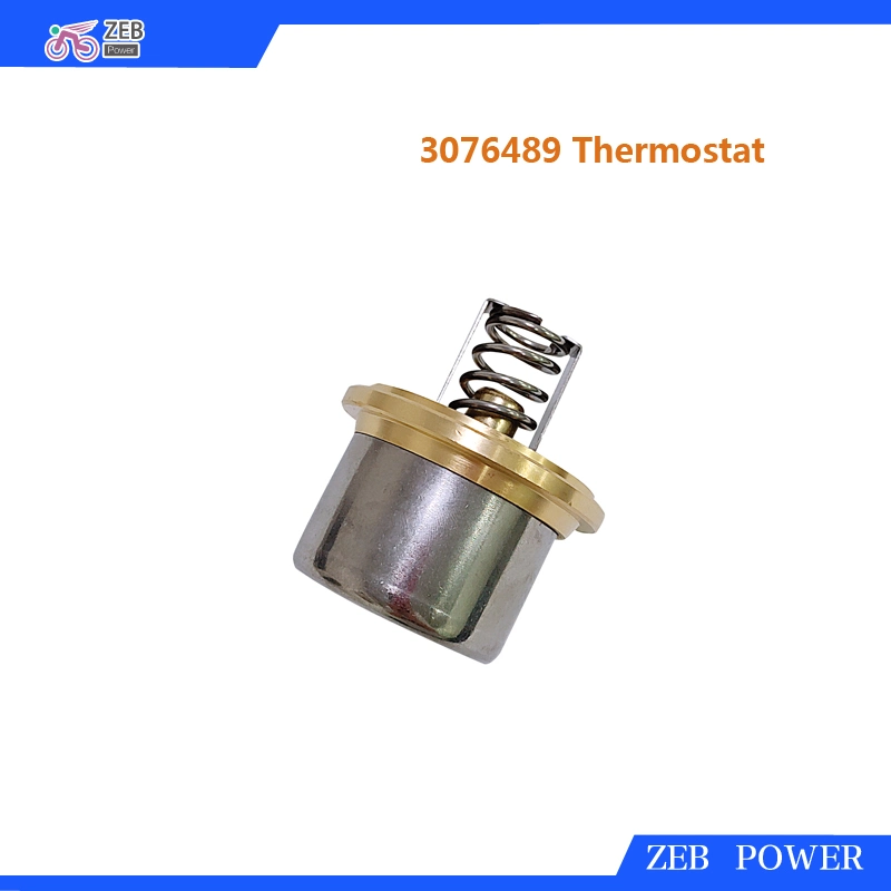 Thermostat 3076489 for Engines L10, M11, N14 Kta19, Kta38, Kta50 and Qsk19