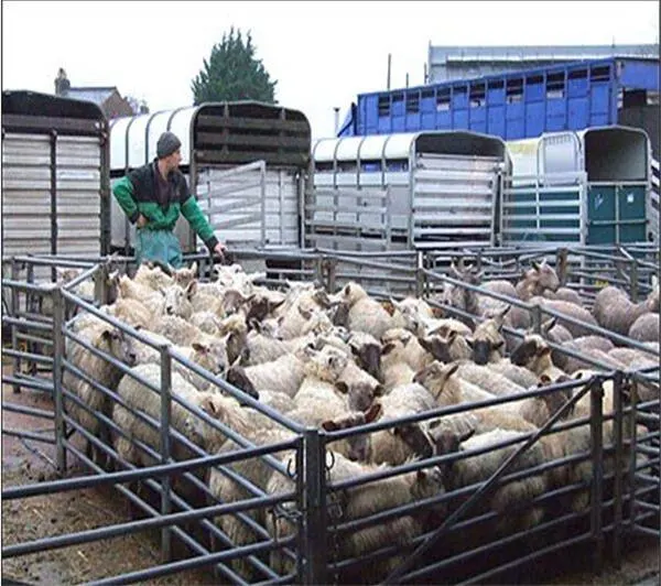 Caballo de granja galvanizado Hot-Dipped corral de ganado vacuno valla Panel