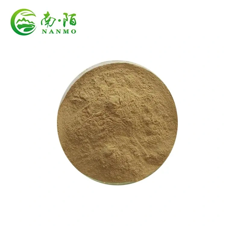 Hot Sale Yellow Astragalus Root Powder Organic Plant Extract Natural Health Products for Anti-Bacterial