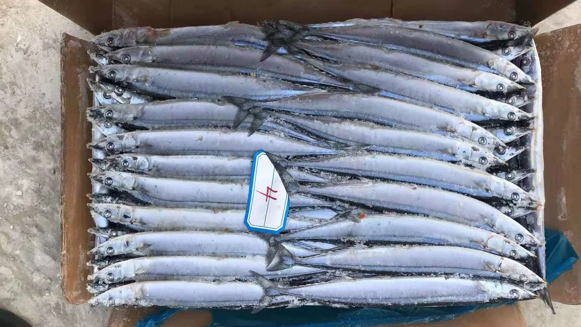 All Size Good Quality Seafood Bqf Fresh Fish Frozen Pacific Saury