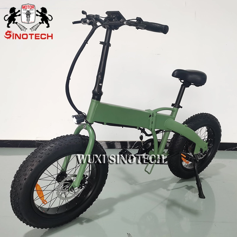 2023 New Arrival Wholesale Fat Bear 20in Electric Bicycle Ebike