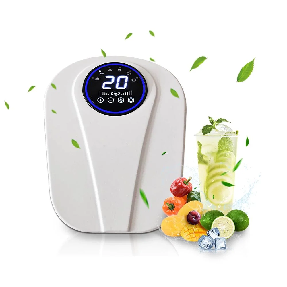 Vérification usine mural cuisine eau générateur d'ozone 600mg Mini-Ozonator pour la désinfection des fruits et légumes et la purification de l'air