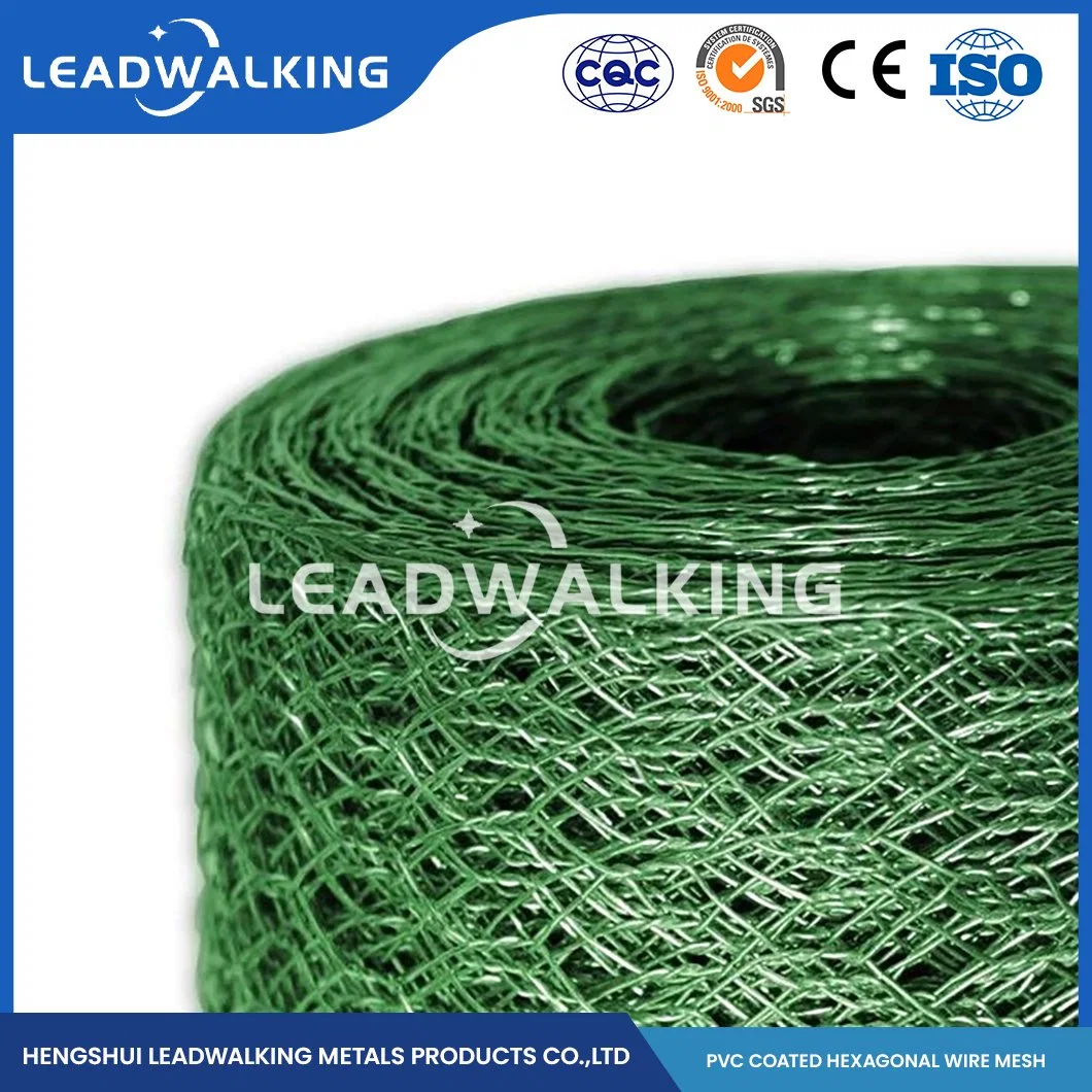 Leadwalking PVC Wire Material PVC Coated Strong Chicken Wire Mesh Factory China 2cm*3/4 Inch Galvanized Plastic Coated Hexagonal Net