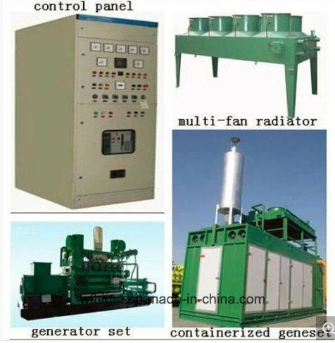 Ce & ISO Standard Green Power Water Cooling 300kw Biogas Generator