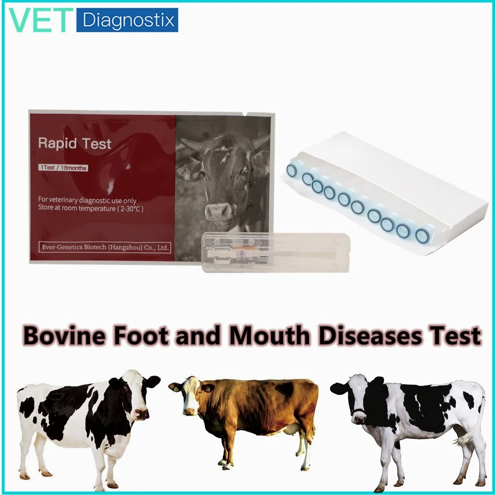 Fmd Test Foot and Mouth Disease Virus Non-Structural Protein Antibody Rapid Test (FMD NSP Ab)