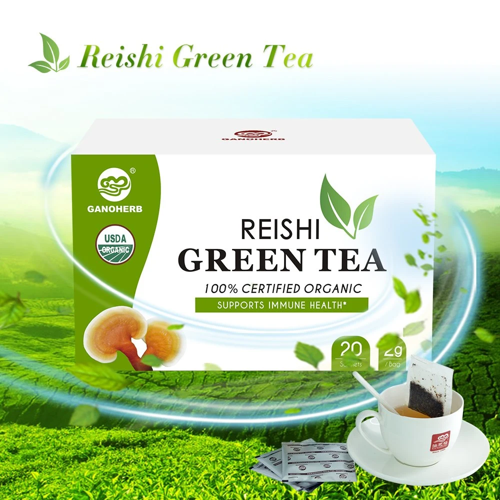 Chinese Ganoderma Green Tea Bags with Reishi Mushroom Extract