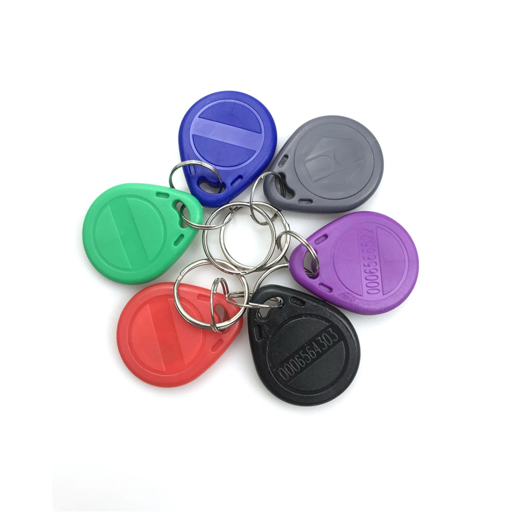 Colorful Hot Sale RFID Keyfob Tk4100 125kHz Proximity Key Tags