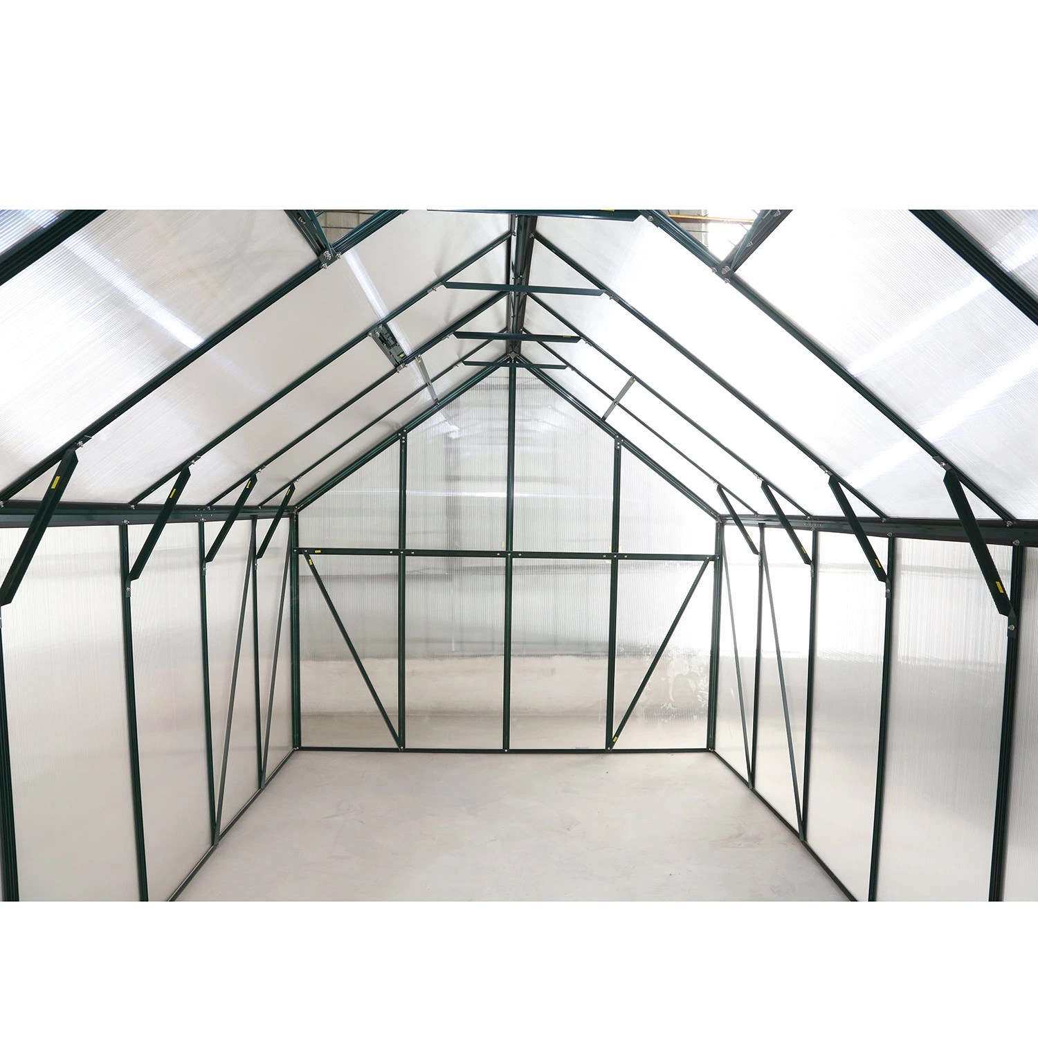 Heavy Durable Multi Span Polycarbonate Greenhouse with Agriculture Equipment Rdga1014-10mm