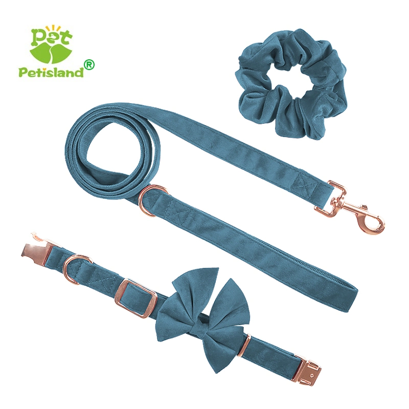 Petisland Pet Supplies Factory Best Price Wholesale High End Dog Lead and Bow Tie Collars Puppy Training Collars Soft Velvet Dog Leash